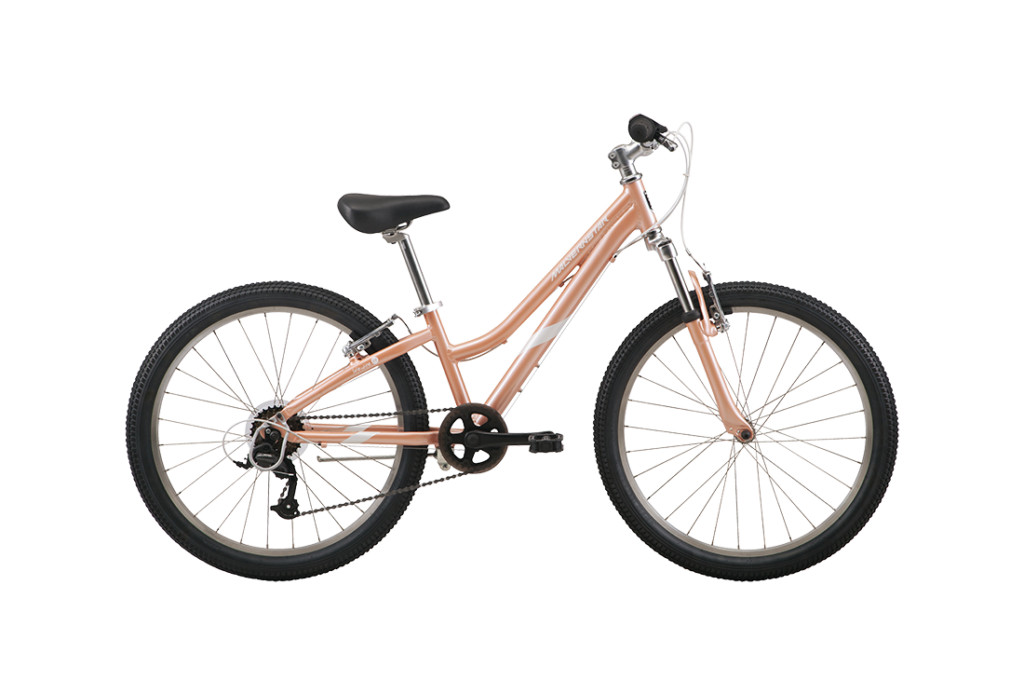 Livewire 24 Kids Bike