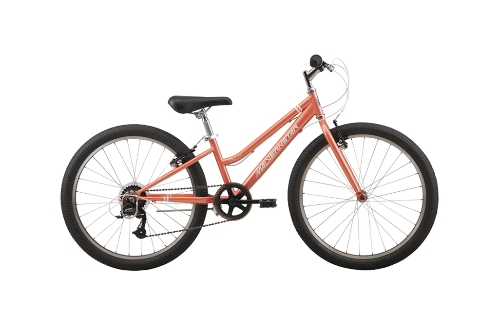 Roxy 24 Kids Bike