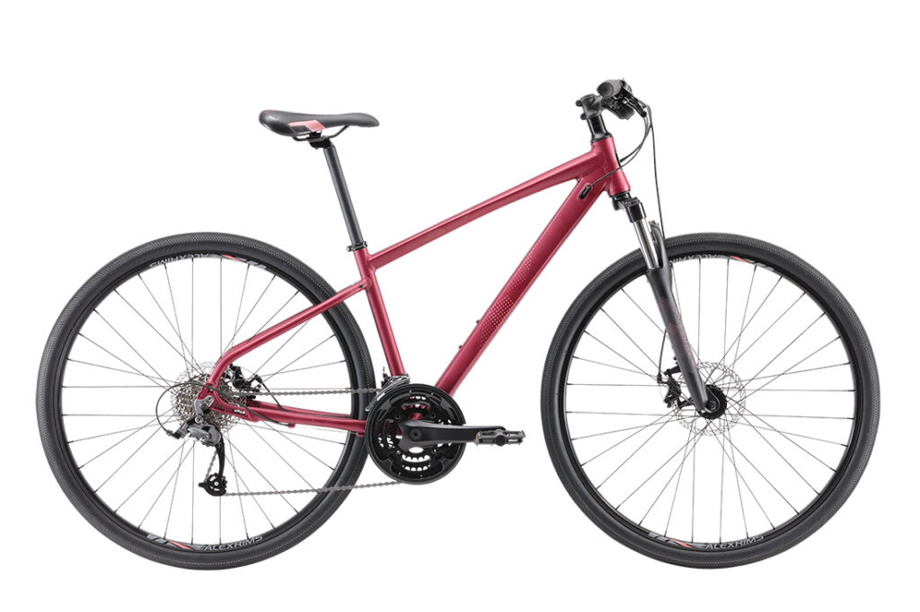 Freedom W1 Women’s Recreational Bike