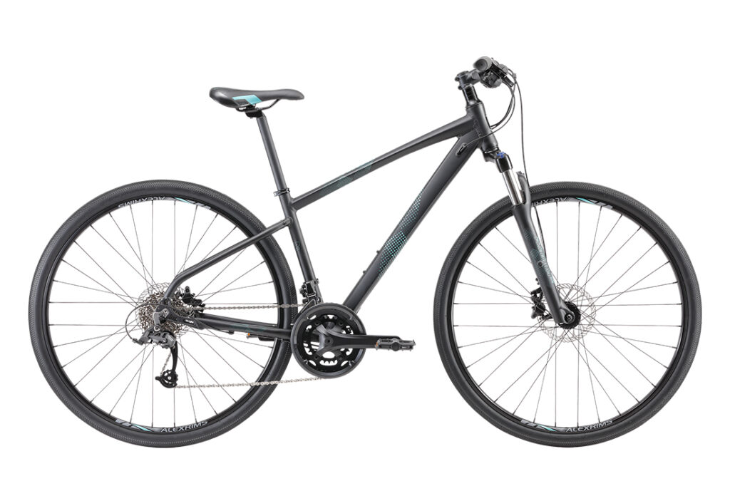 Freedom W2 Women’s Recreational Bike